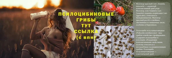 метадон Алзамай