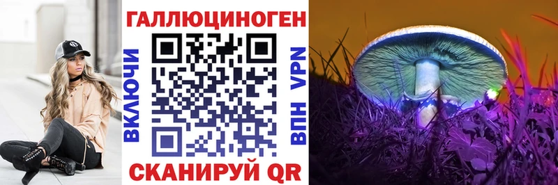 купить цена Юрьев-Польский Псилоцибиновые грибы GOLDEN TEACHER